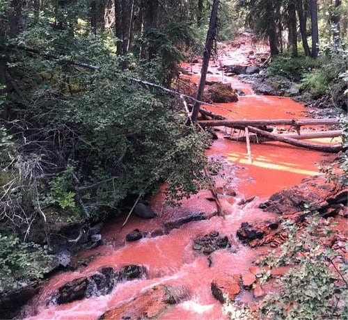 default-271 A creek coloured red running through a forest.