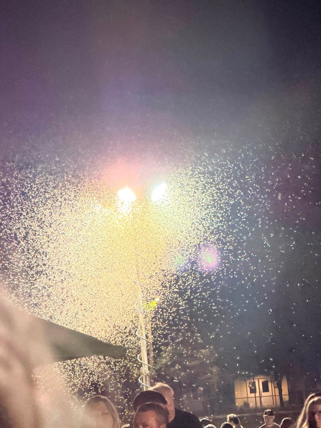 A swarm of insects surrounds an industrial, outdoor flood light.